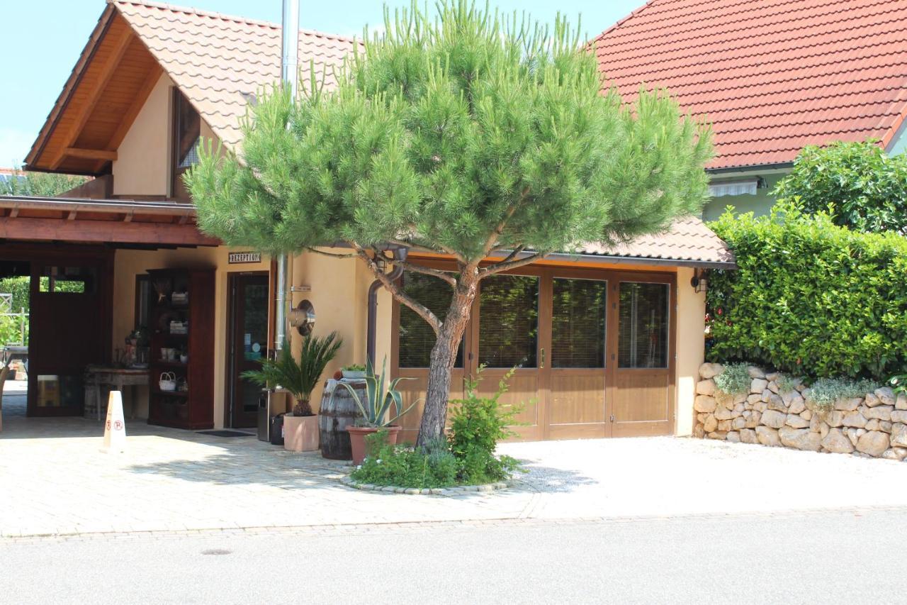 Pension Vanii, Apartments Rust Bagian luar foto